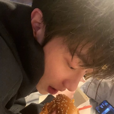 兽设毛发绘画实用教程Furry群